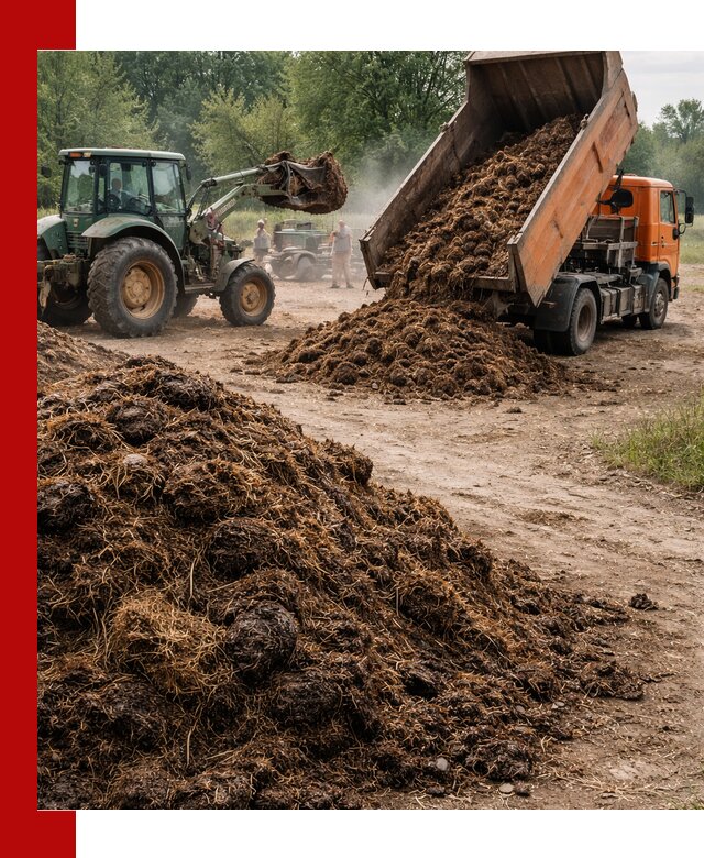 Доставка навоза самосвалами в Вязьме для сельхозпотребностей